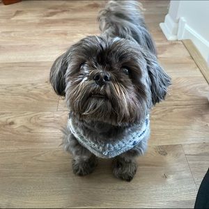 Meet your Posher, Ava